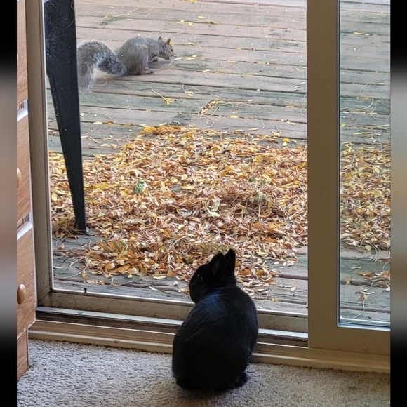 10mm Sugilite Bracelet - Picture 9 of 9